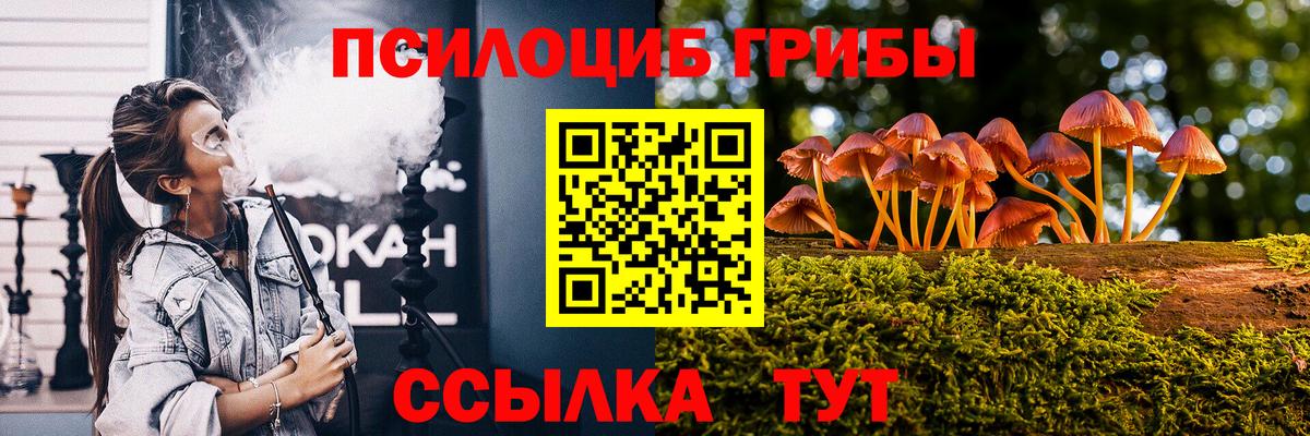 Псилоцибиновые грибы Magic Shrooms Кизилюрт