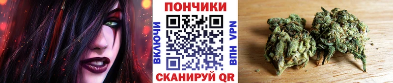 магазин продажи наркотиков  кракен ссылки  даркнет формула  Кизилюрт  Бошки марихуана ГИДРОПОН 